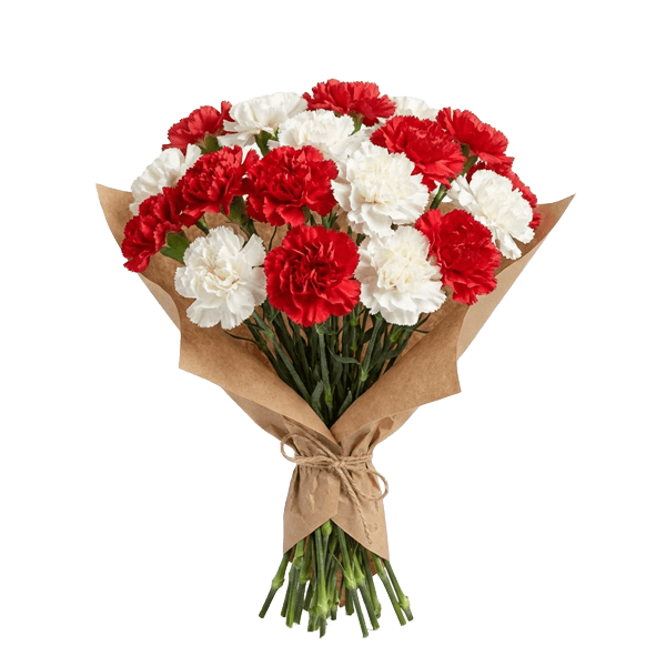 January Birth Flower